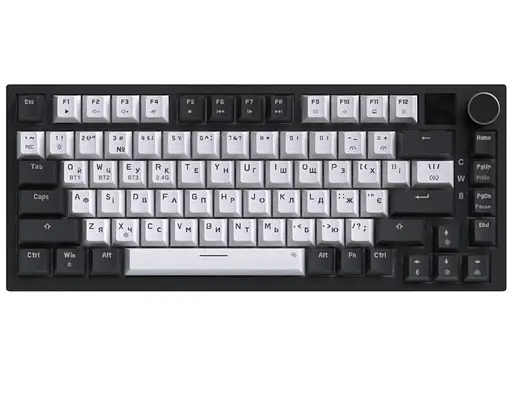 Клавіатура ігрова механічна GamePro MK-160-W-D Pro Wireless Hot-Swap Rainy Switch Black-White - фото 3