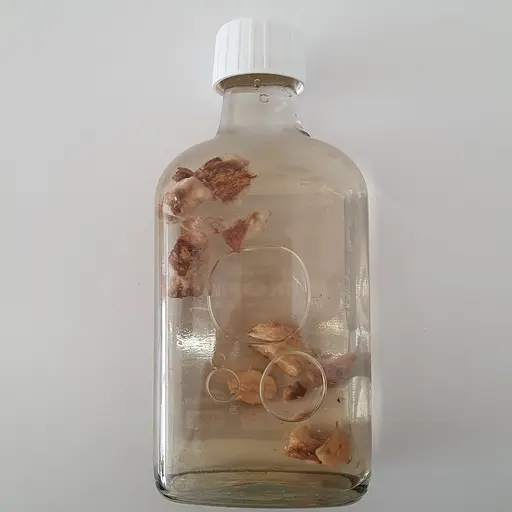 Водна настоянка на корінні цикорію 200 мл - фото 2