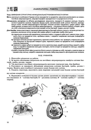 Біологія 9 клас. Зошит для лабораторних та практичних робіт - фото 2