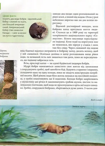 Енциклопедія для допитливих А5 : Тварини - винахідники і будівельники (Українська, 01 КРЕЙДОВАНИЙ ) - фото 9