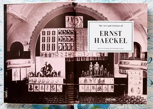 The Art and Science of Ernst Haeckel - фото 2