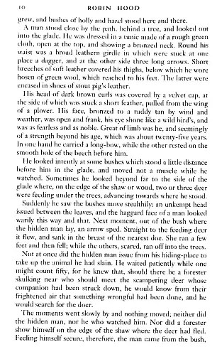 Robin Hood - фото 4