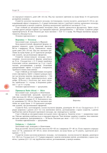 Айстри. Біологічні особливості. Вирощування. Використання. Сорти - фото 3