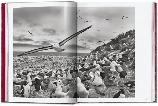 Sebastiao Salgado. Genesis. 45th Edition - фото 5