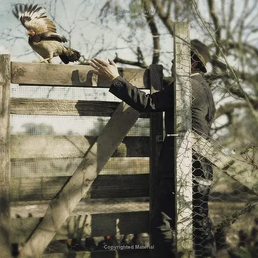 Tom Waits by Matt Mahurin - фото 4