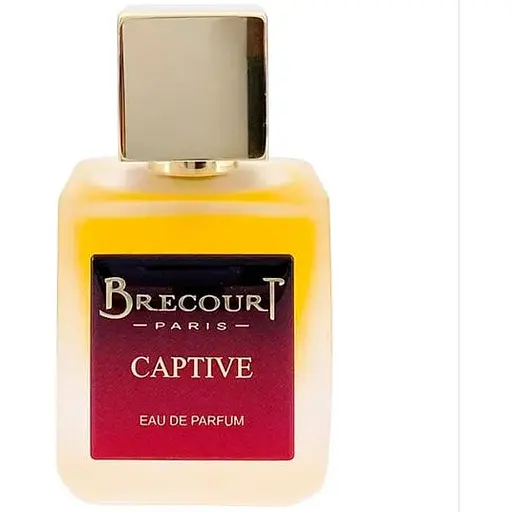 Парфумована вода оригінал Brecourt Captive 50 мл - фото 1
