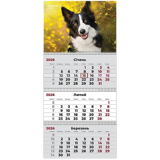 Календарь настенный Axent Dogs 3 квартальный 2026 год (8803-26-18-A)