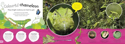 The Incredible Fold-Out Book of Animals - фото 3