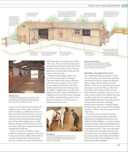 The Horse Encyclopedia (new edition) - фото 11