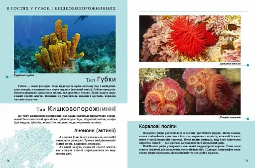 Комахи та інші - фото 2