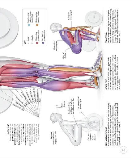 Science of Strength Training - фото 9
