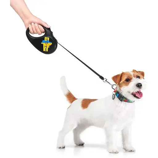 Повідець-рулетка для собак Waudog R-leash, малюнок "Дім", S, до 15 кг, 5 м, світловідбиваюча стрічка чорний - фото 8