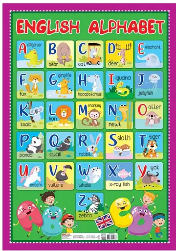 Алфавіт. Англійська абетка друкована. Плакат