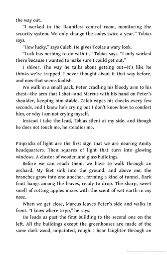 Insurgent. Book 2 - фото 8