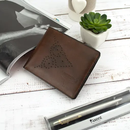 Чоловічий шкіряний гаманець коричневий без застібки Always Wild N7-02-GG - фото 3