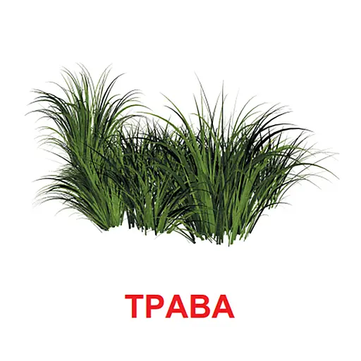 Картки міні Zirka Світ рослин 110х110 мм (478518) - фото 5