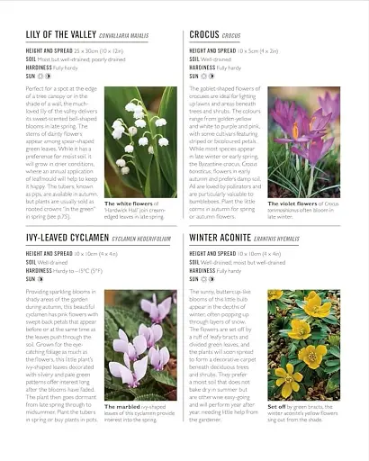 Grow Shade Garden. Essential Know-how and Expert Advice for Gardening Success - фото 11