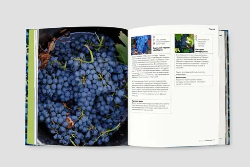 Нерозказана історія українського виноробства - фото 5