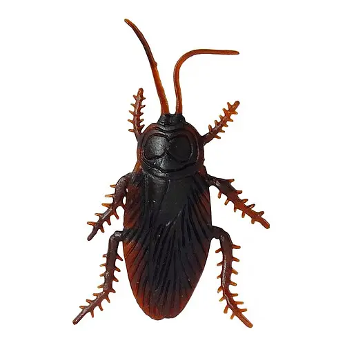 Прикол Таракан - фото 1