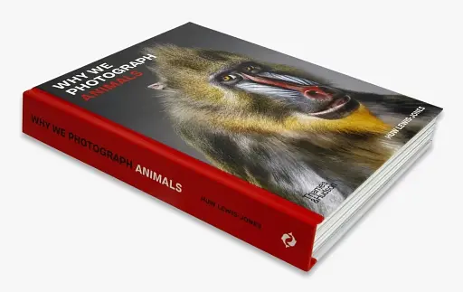 Why We Photograph Animals - фото 3