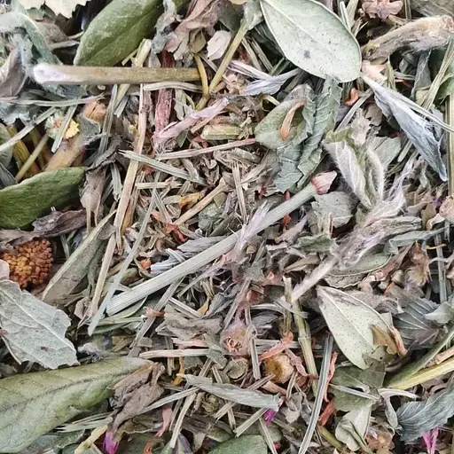 100 г сбор-чай почечный-желчный (нефрит, пиелонефрит, гломерулонефрит)