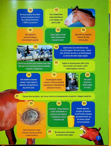 Галопом! 100 цікавих фактів про коней - фото 3