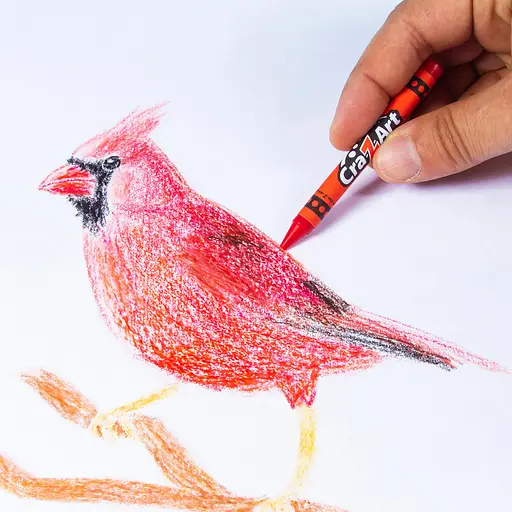 Крейда воскова Cra-Z-Art легкозмивна 48 шт. (10276CRA) - фото 7