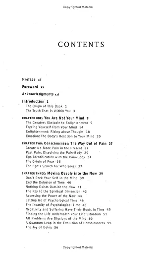 The Power of Now - фото 4