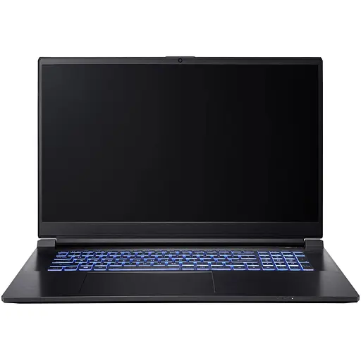 Ноутбук DreamMachines G1650-17EU95 i7-13700H 17.3” /GTX1650/500 GB M.2 /16 GB