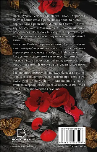 Кров і попіл. Душа з попелу та крові. Книга 5 - фото 2