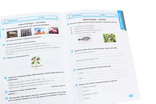 Перевір свої досягнення. 3 клас. 2 частина - фото 5