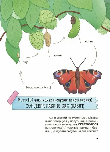 Дивовижні перетворення. Хто ховався у яєчку - фото 8