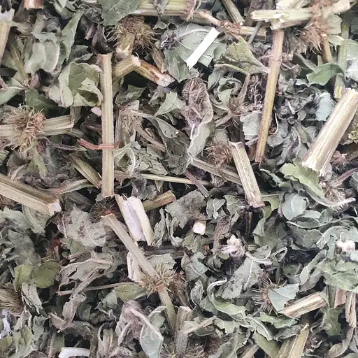 Зюзник европейский трава сушеная - свежий урожай 100 г 