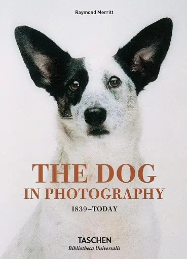 The Dog in Photography. 1839-Today
