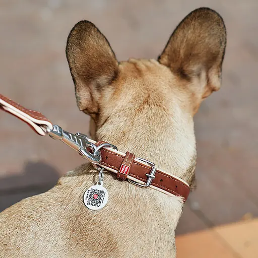 Нашийник для собак шкіряний Waudog Soft з QR-паспортом Ш 15 мм Д 27-36 см коричневий - фото 4