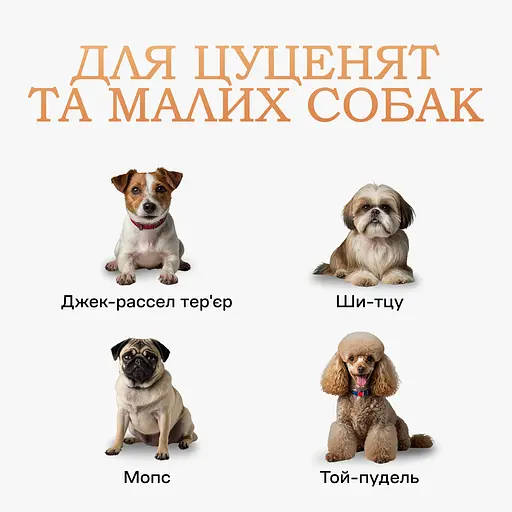Туалет лоток під пелюшку для собак 60х60 ПУХНАСТЕ ЩАСТЯ сірий - фото 12