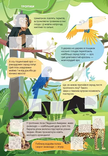 Світ навколо: Дикі тварини - фото 4
