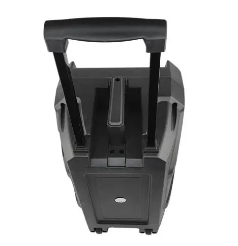 Колонка Big LT-818 bluetooth + микроон (245х220х385) USB/MO3/FM/TWS black - фото 3