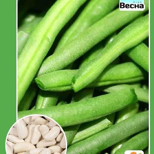 Фасоль спаржевая "Зеленая" ТМ "Весна" 2г (10767) - фото 1