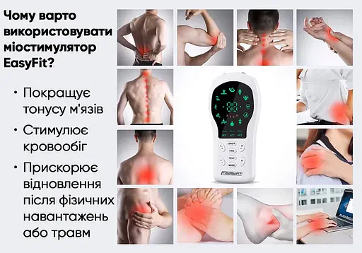 Миостимулятор EasyFit ActivePulse-2 для тела, стимулятор мышц в чехле (EF-2304) - фото 2