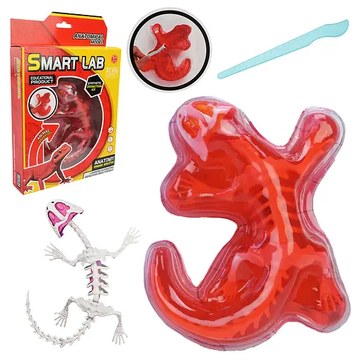 Іграшковий лабораторний набір Ящірка, 802B, скелет, внутрішні органи, інструмент
