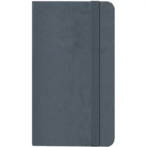 Еженедельник Axent 2026 Pocket Strong 90 x 150 мм серый (8508-26-62-A) - фото 3