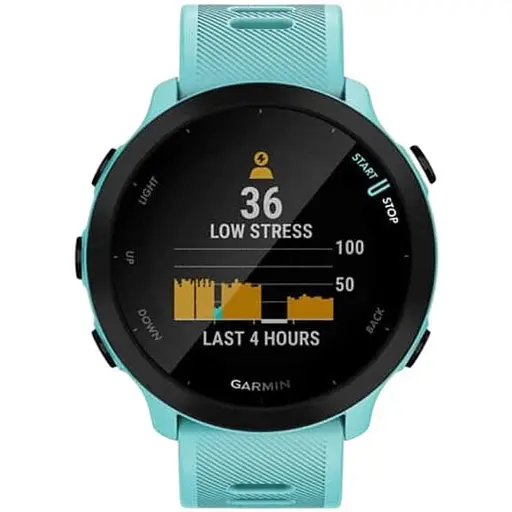 Спортивний годинник Garmin Forerunner 55 Aqua (010-02562-12/02)