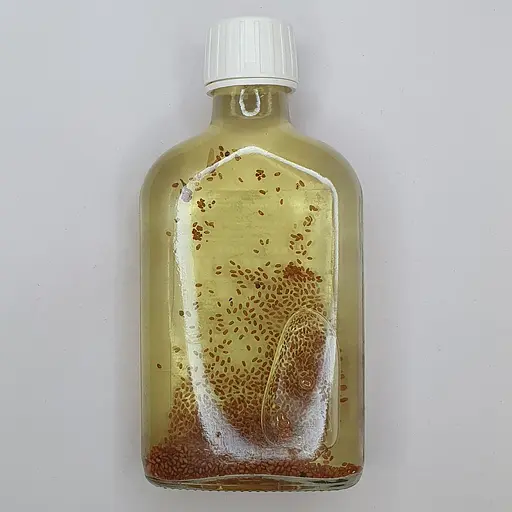 Водная настойка на семенах рыжея посевного 200 мл - фото 2