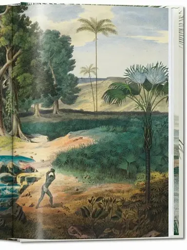 The Book of Palms - фото 11