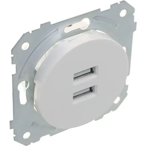Розетка Brille біла WB-2USB wh (42-291)