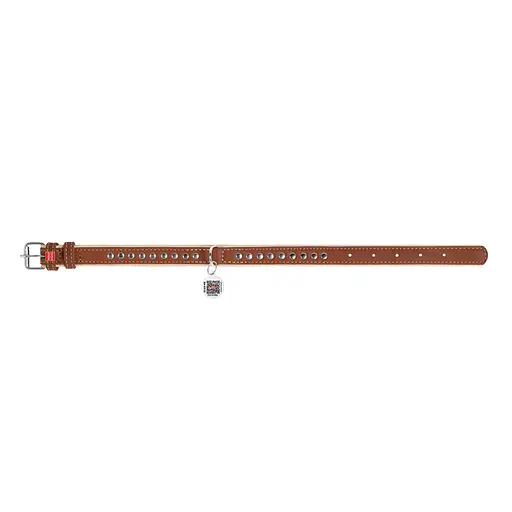 Нашийник для собак шкіряний Waudog Soft з QR-паспортом металічні прикраси Ш 20 мм Д 30-39 см коричневий - фото 7