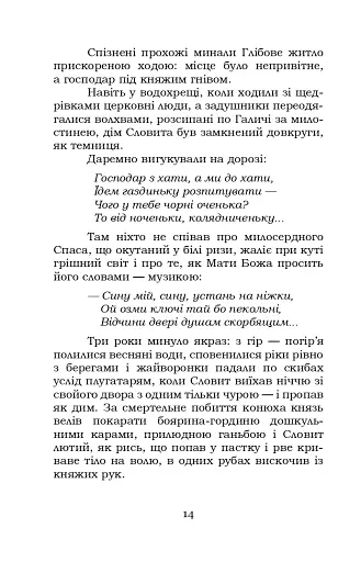 Шоломи в сонці - фото 15