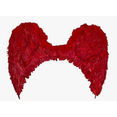 Крылья ангела - фото 4