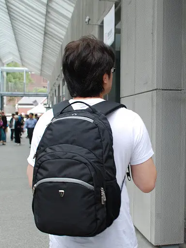 Офисный рюкзак с отделением для ноутбука 15,6 Sumdex 21х46х30 см sum0026861 - фото 4